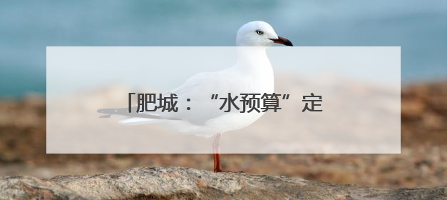 肥城：“水预算”定盘，“水银行”活水