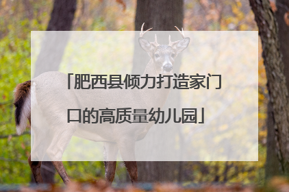 肥西县倾力打造家门口的高质量幼儿园