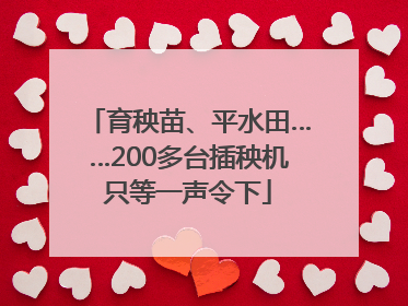 育秧苗、平水田……200多台插秧机只等一声令下