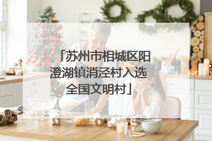 苏州市相城区阳澄湖镇消泾村入选全国文明村