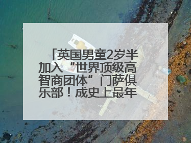 英国男童2岁半加入“世界顶级高智商团体”门萨俱乐部！成史上最年轻男性会员
