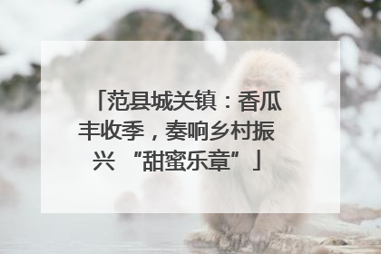 范县城关镇：香瓜丰收季，奏响乡村振兴 “甜蜜乐章”