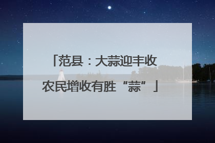 范县：大蒜迎丰收 农民增收有胜“蒜”