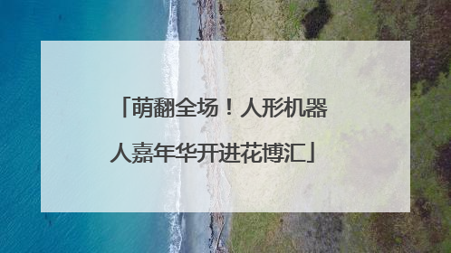 萌翻全场！人形机器人嘉年华开进花博汇