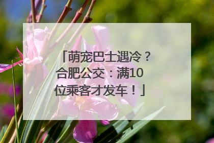 萌宠巴士遇冷？合肥公交：满10位乘客才发车！