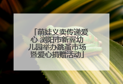 萌娃义卖传递爱心 浏阳市新翼幼儿园举办跳蚤市场暨爱心捐赠活动