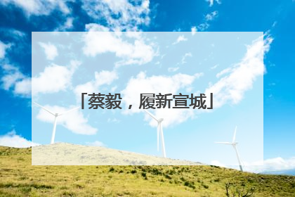 蔡毅，履新宣城