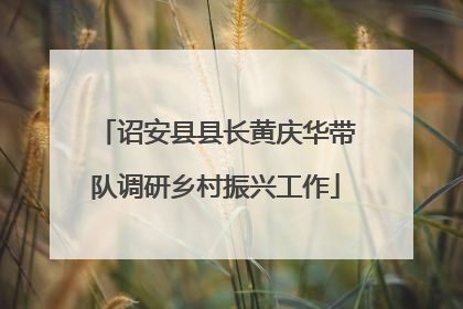 诏安县县长黄庆华带队调研乡村振兴工作