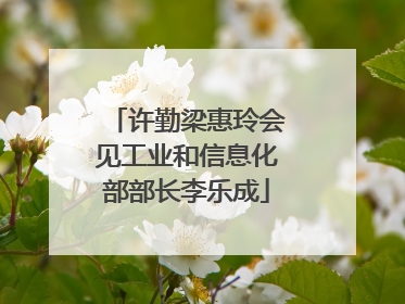 许勤梁惠玲会见工业和信息化部部长李乐成