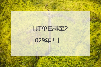 订单已排至2029年！