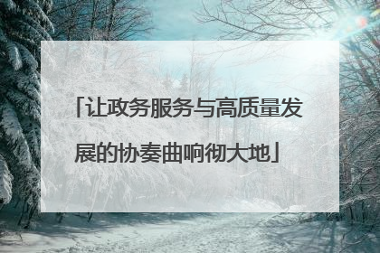 让政务服务与高质量发展的协奏曲响彻大地