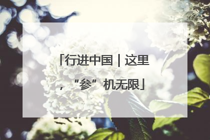行进中国｜这里，“参”机无限
