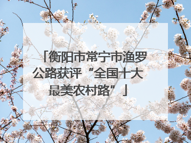 衡阳市常宁市渔罗公路获评“全国十大最美农村路”