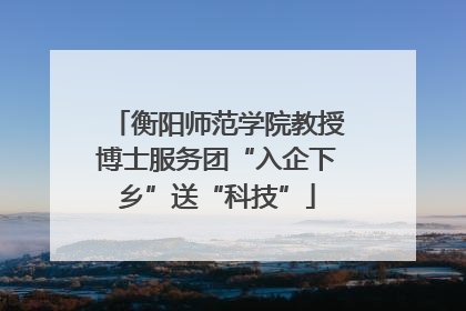衡阳师范学院教授博士服务团“入企下乡”送“科技”