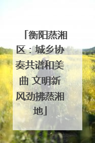 衡阳蒸湘区：城乡协奏共谱和美曲 文明新风劲拂蒸湘地