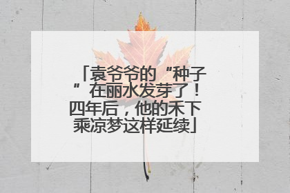 袁爷爷的“种子”在丽水发芽了！四年后，他的禾下乘凉梦这样延续