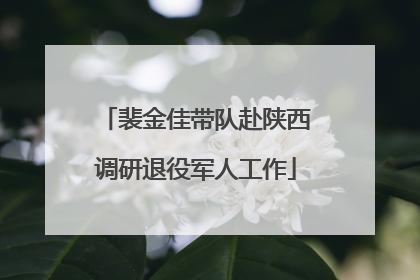 裴金佳带队赴陕西调研退役军人工作