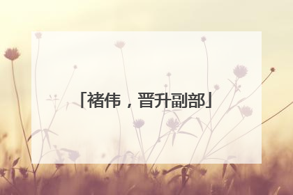 褚伟，晋升副部
