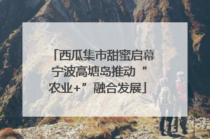 西瓜集市甜蜜启幕 宁波高塘岛推动“农业+”融合发展