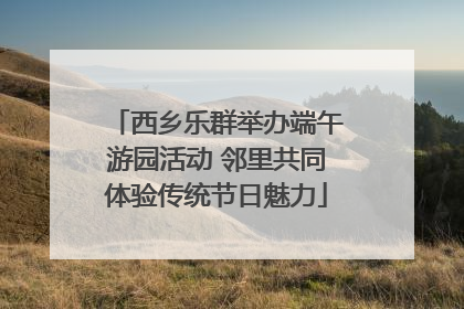 西乡乐群举办端午游园活动 邻里共同体验传统节日魅力