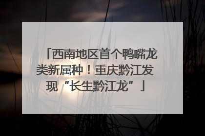 西南地区首个鸭嘴龙类新属种！重庆黔江发现“长生黔江龙”