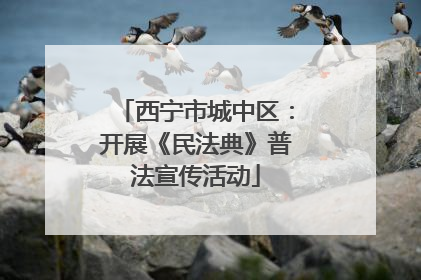 西宁市城中区：开展《民法典》普法宣传活动