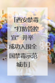 西安禁毒“打防管控宣”并举 成功入围全国禁毒示范城市