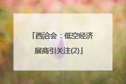 西洽会：低空经济展商引关注(2)