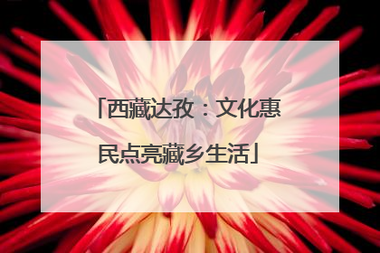 西藏达孜：文化惠民点亮藏乡生活