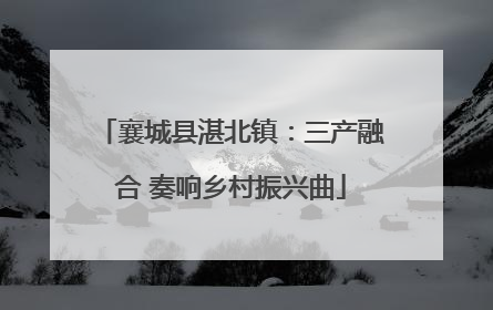襄城县湛北镇：三产融合 奏响乡村振兴曲