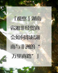 观察丨湖南省湘非经贸商会如何串起湖南与非洲的“万里商路”