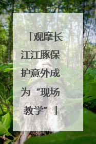 观摩长江江豚保护意外成为“现场教学”