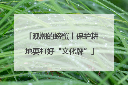 观潮的螃蟹丨保护耕地要打好“文化牌”