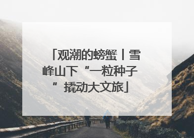 观潮的螃蟹丨雪峰山下“一粒种子”撬动大文旅