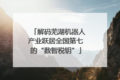 解码芜湖机器人产业跃居全国第七的“数智税钥”