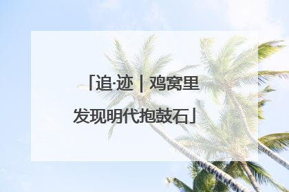 追·迹｜鸡窝里发现明代抱鼓石