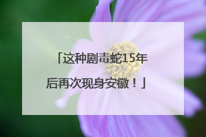 这种剧毒蛇15年后再次现身安徽！