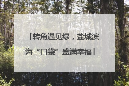 转角遇见绿，盐城滨海“口袋”盛满幸福