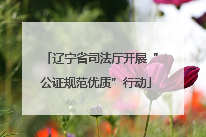 辽宁省司法厅开展“公证规范优质”行动
