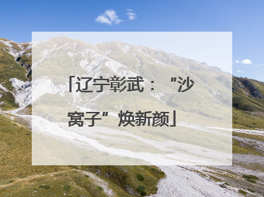 辽宁彰武：“沙窝子”焕新颜
