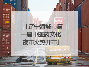 辽宁海城市第一届中医药文化夜市火热开市