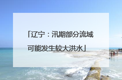 辽宁：汛期部分流域可能发生较大洪水
