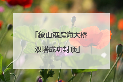 象山港跨海大桥双塔成功封顶