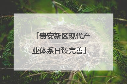 贵安新区现代产业体系日臻完善
