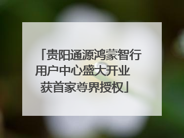贵阳通源鸿蒙智行用户中心盛大开业 获首家尊界授权