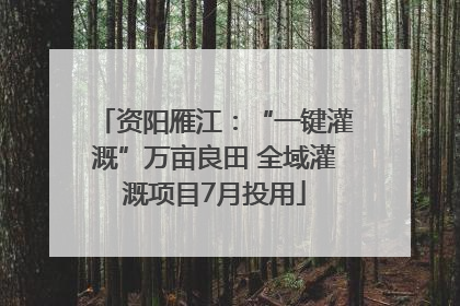 资阳雁江：“一键灌溉”万亩良田 全域灌溉项目7月投用