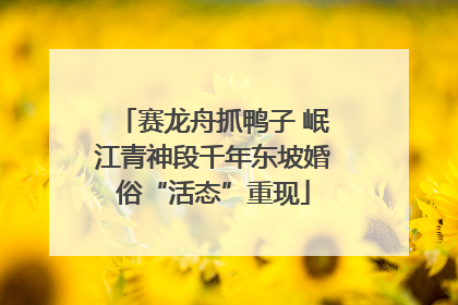 赛龙舟抓鸭子 岷江青神段千年东坡婚俗“活态”重现