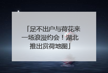 足不出户与荷花来一场浪漫约会！湖北推出赏荷地图