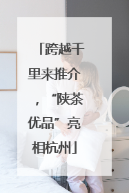 跨越千里来推介，“陕茶优品”亮相杭州