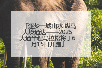 逐梦一城山水 纵马大境通达——2025大通半程马拉松将于6月15日开跑